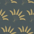 Seamless pattern, ear of wheat rye, rural harvest dark background for textiles, wallpaper and wrapping paper