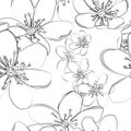 Seamless pattern with early spring flowers liverleaf Royalty Free Stock Photo