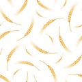 Seamless pattern with ears of wheat. Vector illustration. Royalty Free Stock Photo