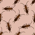 Seamless pattern with Earwig .Forficula auricularia. hand-drawn Earwig .