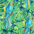 Seamless pattern element of two ara parrots and