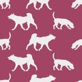 Seamless pattern. English beagle puppy and american akita. Silhouette of dogs. Endless texture. Design for fabric, decor