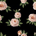 Seamless pattern with English roses on a black background. Vector. Royalty Free Stock Photo