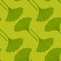 Seamless pattern engraved leaves Ginkgo Biloba. Vintage background botanical with foliage in hand drawn style Royalty Free Stock Photo