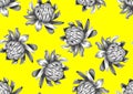 Seamless pattern with etlingera flowers. Decorative ornament