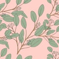 Seamless pattern Eucalyptus branches leaves on peach colour background,Repeat Green floral pattern background for frabric wrapper,