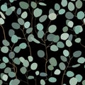 Seamlessr pattern with eucalyptus. Hand painted floral ornament with silver dollar, seeded and baby eucalyptus Royalty Free Stock Photo