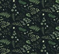 Seamless pattern of Eucalyptus palm fern different tree, foliage