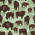 Seamless pattern. European bison Bison bonasus Males, females and calves European wood bison. The wisent or the zubr. Realistic ve