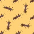 Seamless pattern with European mole cricket. Gryllotalpidae. hand-drawn mole cricket .