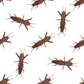 Seamless pattern with European mole cricket. Gryllotalpidae. hand-drawn mole cricket . Vector