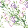 Seamless pattern with eustoma. Hand draw watercolor illustration