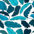 Seamless pattern of exotic banana leaves, randomly scattered and isolated on a transparent background