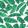 Seamless pattern of exotic banana leaves, randomly scattered and isolated on a transparent background