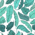 Seamless pattern 0of exotic banana leaves