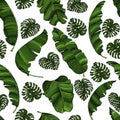 Seamless pattern of exotic, bright green banana leaves and monstera leaves isolated on transparent background. Decorative image
