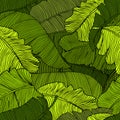 Seamless pattern of exotic, bright green leaves of a banana closeup