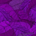 Seamless pattern of exotic, bright purple banana leaves closeup