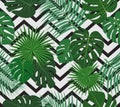 Seamless pattern of exotic jungle tropical palm leaves on black and white zig zag background Royalty Free Stock Photo