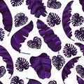 Seamless pattern of exotic purple banana leaves and monstera leaves isolated on transparent background. Decorative image with