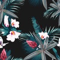 Seamless pattern with exotic tropical plants: protea, hibiscus, orchid. Royalty Free Stock Photo