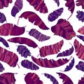 A seamless pattern of exotic, vibrant purple leaves of a banana