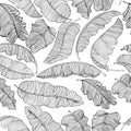 Seamless pattern of exotic, white banana leaves with a black outlines isolated on a transparent background