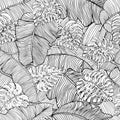 Seamless pattern of exotic white banana leaves and monstera leaves with black outline. Decorative image with tropical foliage