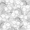 Seamless pattern of exotic white monstera leaves and orchids with black outline