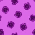 Seamless pattern 0f purple roses