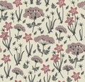 Seamless pattern realist isolated flowers Vintage background Wahlenbergia Hemlock Drawing engraving Vector illustration victorian Royalty Free Stock Photo