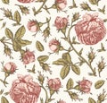 Seamless pattern fabric flowers Vintage background roses wildflowers Wallpaper Drawing engraving Vector Illustration isolated Royalty Free Stock Photo