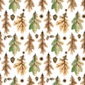 Seamless pattern with fall leaves. Watercolor background with botanical illustration of oak leaf and acorn on tree branch for Royalty Free Stock Photo