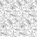 Seamless pattern falling leaves, acorns, berries. Vector autumn texture isolated on white background, hand drawn in sketch style, Royalty Free Stock Photo