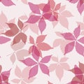 Seamless pattern with falling leaves. Background with autumn virginia creeper leaves.