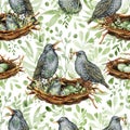 Seamless pattern, Family of starlings, bird in a nest with eggs, elements with spring greenery, twigs, leaves and