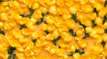 Bright Yellow Snapdragons Seamless Pattern Royalty Free Stock Photo