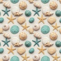 A collection of seashells, starfish, and sand dollars on a sandy Royalty Free Stock Photo