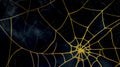 Golden spiderweb pattern shining on dark background