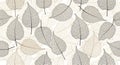 Elegant Skeleton Leaf Pattern - Autumnal Texture Background Royalty Free Stock Photo