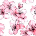Seamless pattern featuring hand-drawn cherry blossoms in soft pink tones with delicate linework Royalty Free Stock Photo