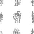 A Seamless Pattern featuring outline spruce and pine Trees, Black and White Forest Vector illustration Royalty Free Stock Photo