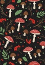 Seamless pattern featuring stylized mushrooms, Royalty Free Stock Photo