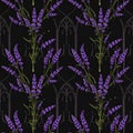 Gothic Lavender Pattern with Arched Windows Royalty Free Stock Photo