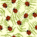 Seamless pattern with fern and ladybugs. Vector graphics Royalty Free Stock Photo