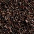 A seamless pattern of fertile soil