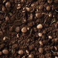 A seamless pattern of fertile soil