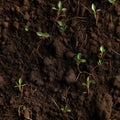 A seamless pattern of fertile soil with some green sprouts