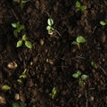 A seamless pattern of fertile soil with some green sprouts