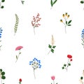 Seamless pattern, field flowers print. Endless floral background, blooming meadow plants. Botanical texture design Royalty Free Stock Photo